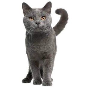 Meet your Posher, Tim